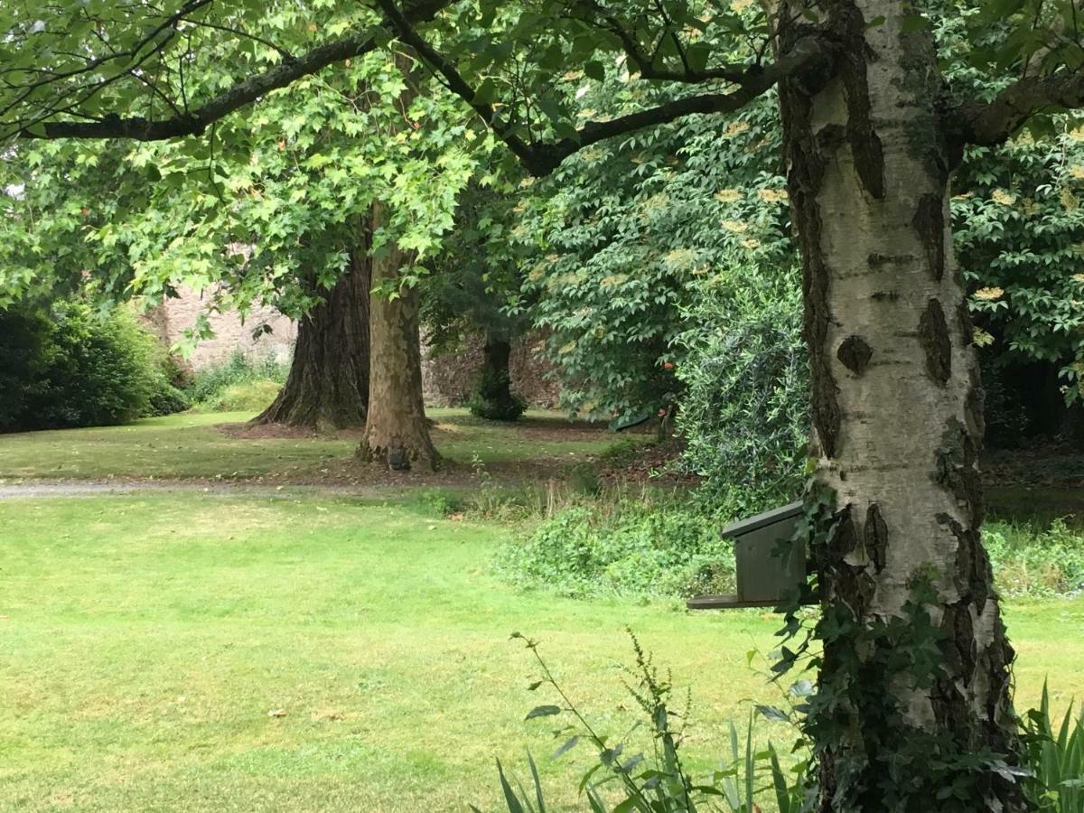 Au Rez De Jardin Otel Cholet Dış mekan fotoğraf