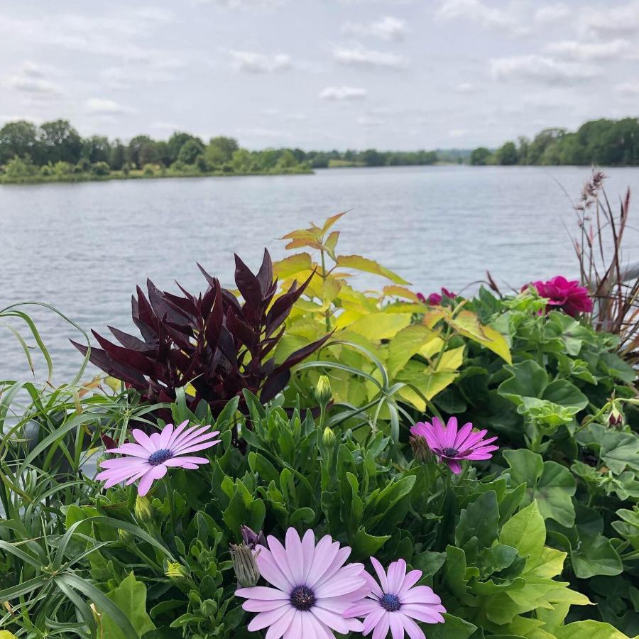 Au Rez De Jardin Otel Cholet Dış mekan fotoğraf