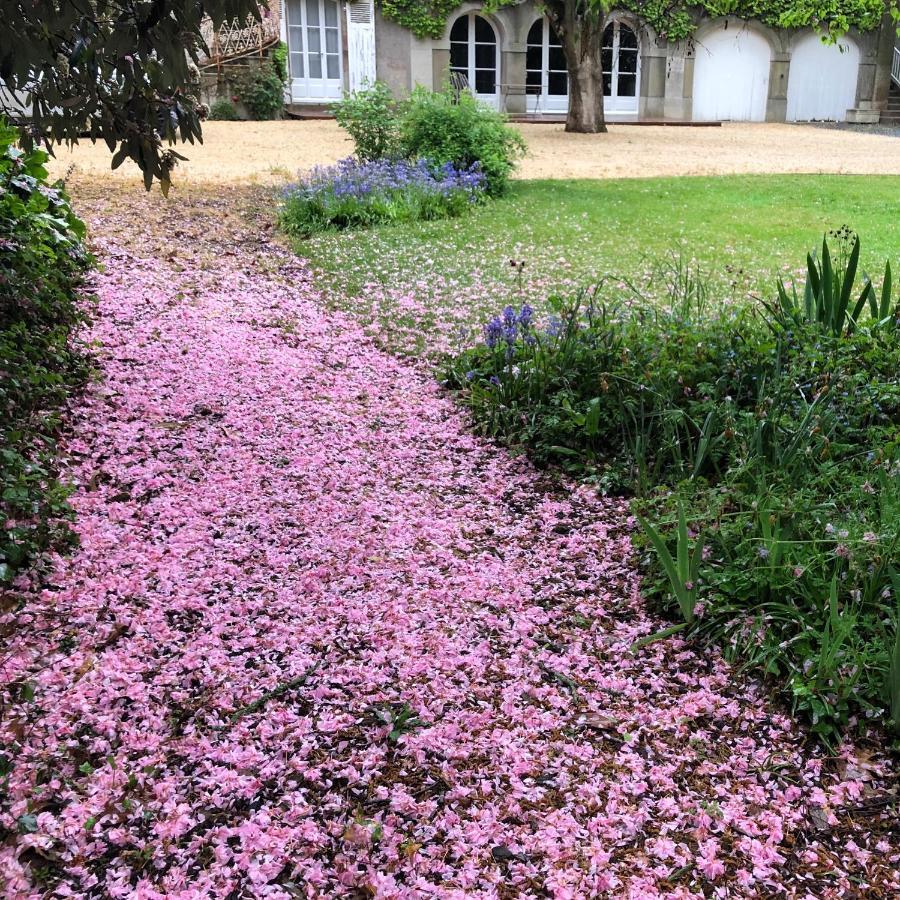 Au Rez De Jardin Otel Cholet Dış mekan fotoğraf