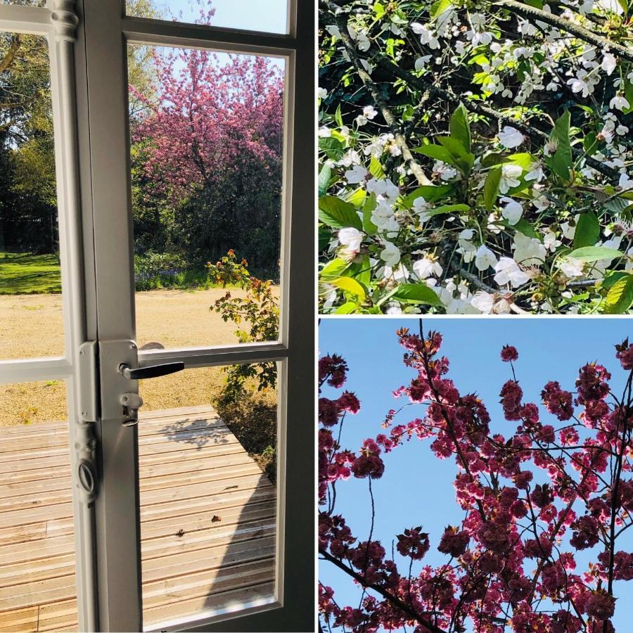 Au Rez De Jardin Otel Cholet Dış mekan fotoğraf
