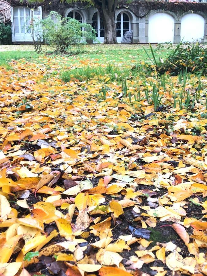 Au Rez De Jardin Otel Cholet Dış mekan fotoğraf